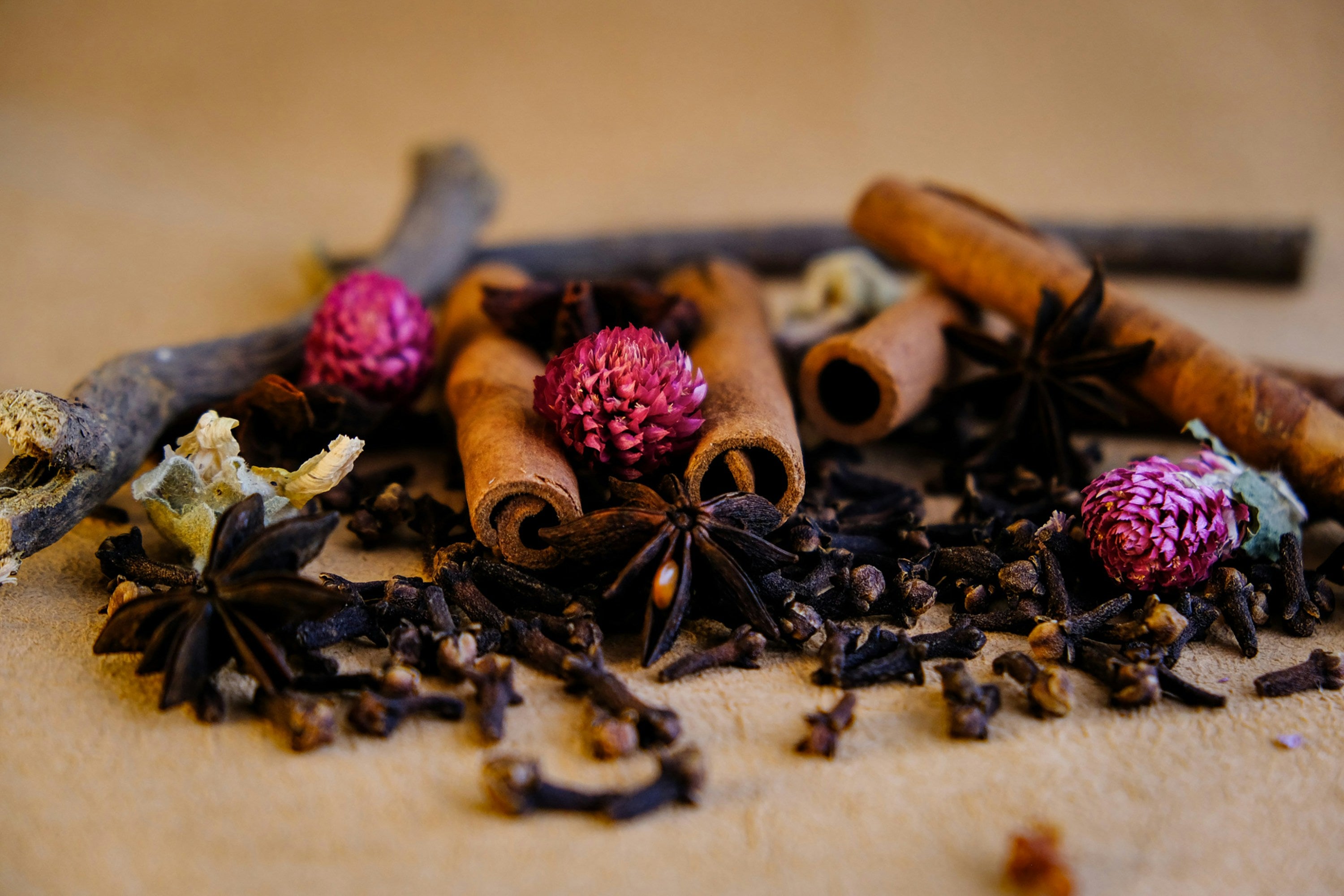 Spiced Gourmand collection — cinnamon sticks, star anise and cloves with dried pink blooms in warm light
