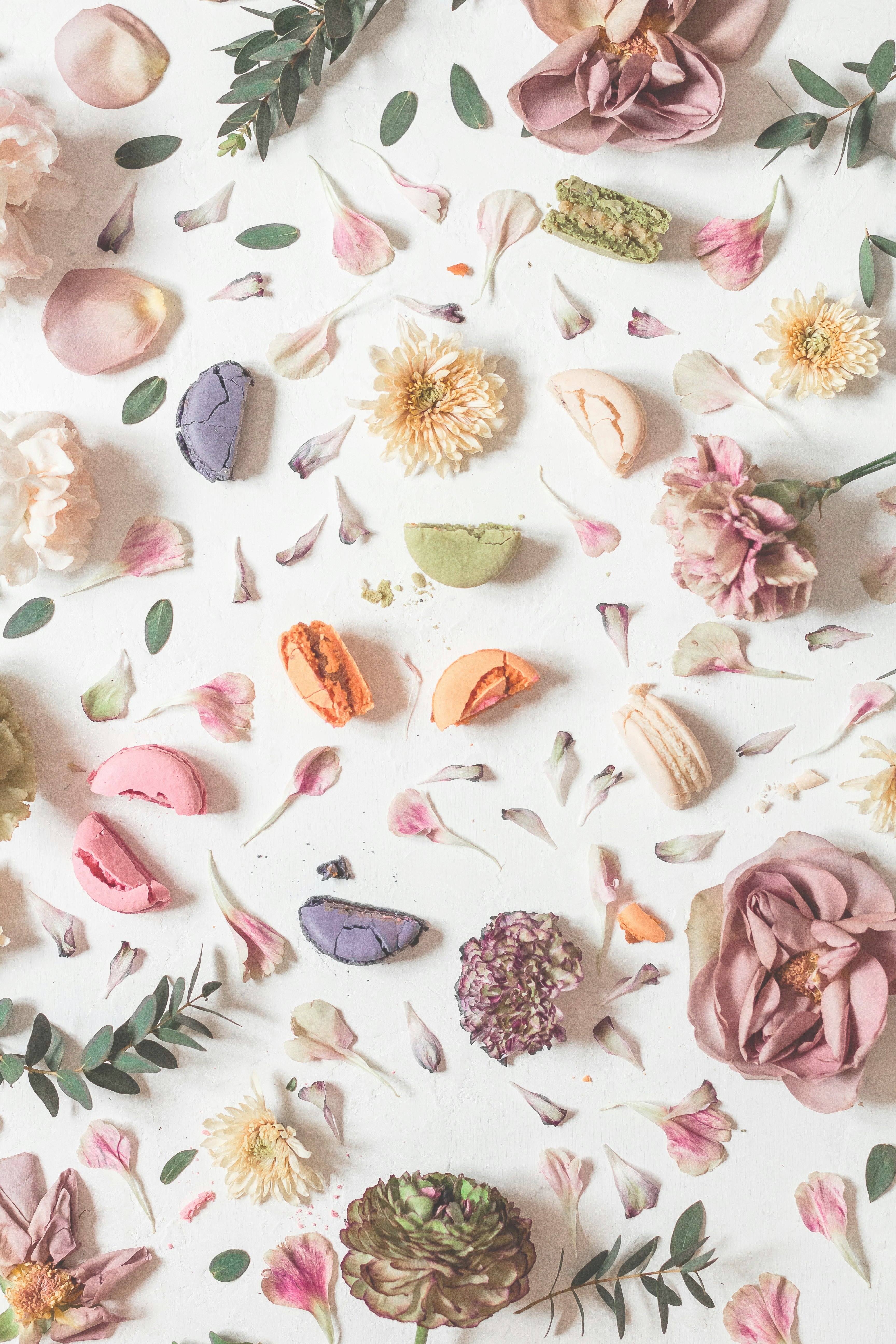 Sweet & Floral collection — pastel macarons and flower petals on a soft white background